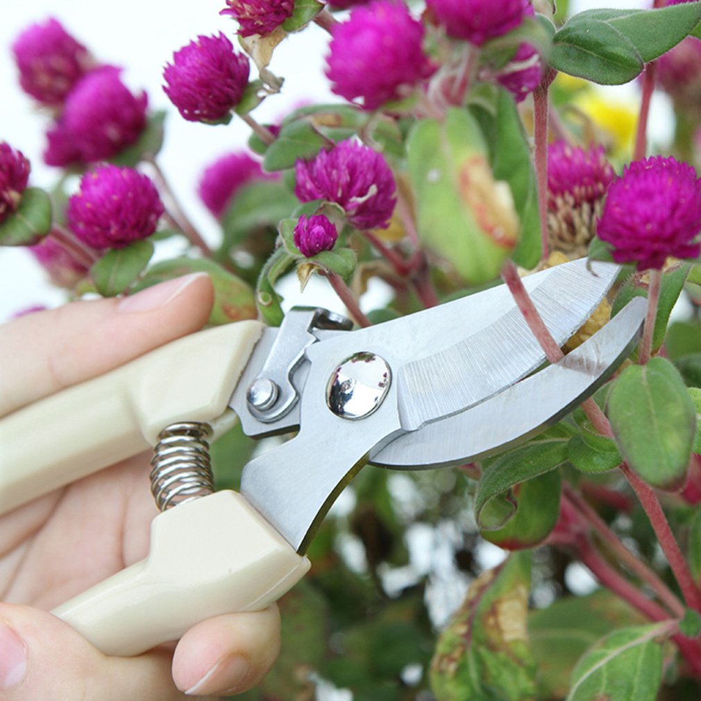 Ножницы могут резать ветки https://greenhousebay.ru